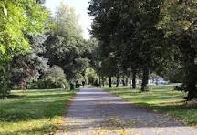 “Вранці, вийшовши з номера Івана в халаті та капцях, раптом вона зустрілася… З чоловіком! Він теж виходив із номера з дівчиною років двадцяти семи, невисокою білявкою з пишними формами. Від здивування обидва остовпіли.