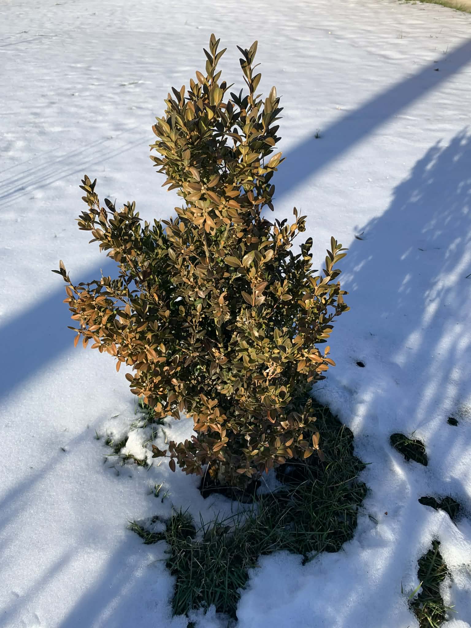 – Доню, а ти де? – Мамо, де мені бути? Звичайно, я вдома. Вечерю готую. Онуки тобі привіт передають. – Правду мені кажи. Я з онуками та твоїм чоловіком ходила в кіно, а зараз ми всі у вас вдома. У мене тебе також нема. Де ти?