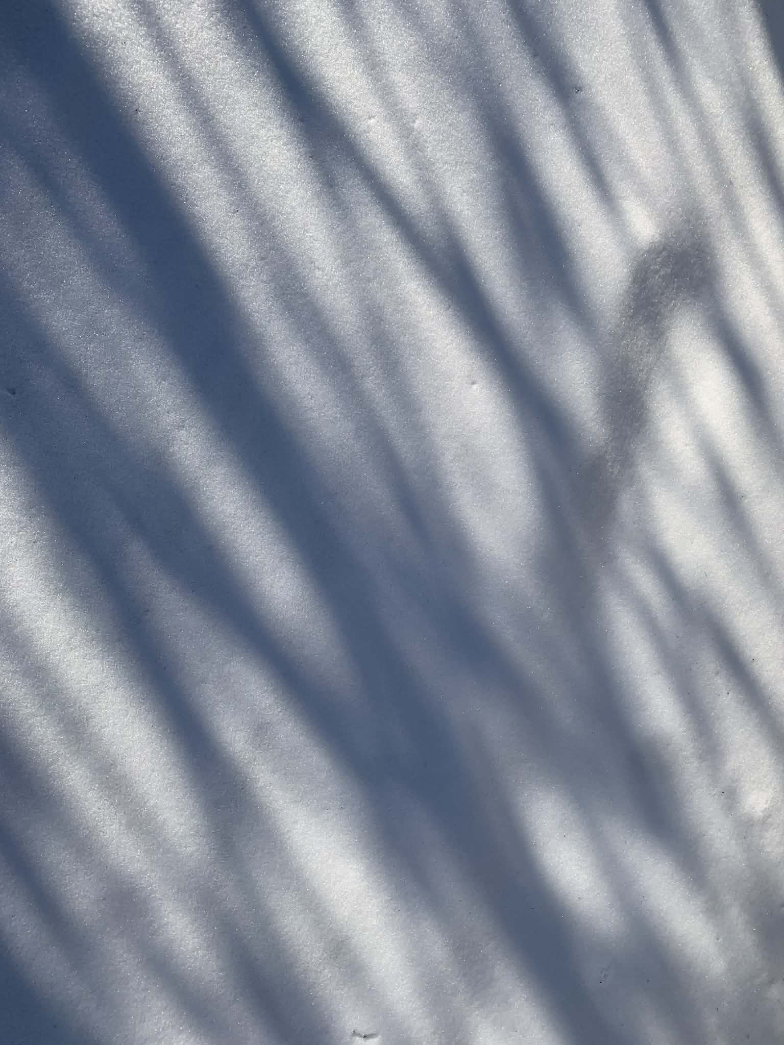 – Кохана, нагадую, що Юрко – твій син. Не мій. І йому вже тридцять. Якщо хоче жити у просторій квартирі, хай сам за неї платить. Я на ваш кредит на квартиру більше витрачатися не буду…