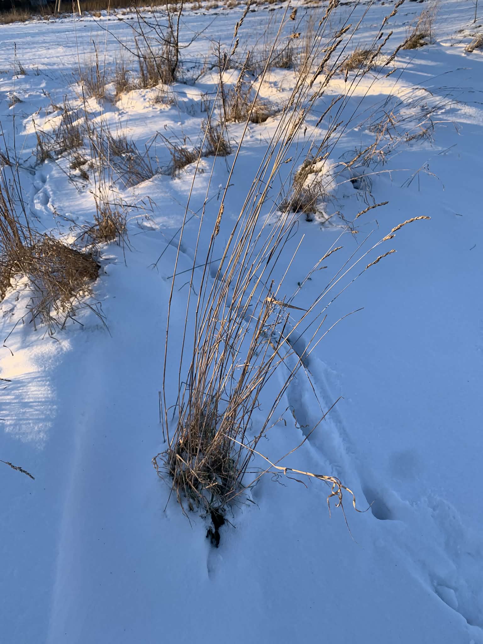 Були нічні чергування біля ліжечка хворого племінника, доки сестра відсипалася після зміни. Були нескінченні поради, втіхи, практичні вирішення проблем, які Тетяна чомусь не могла розв’язати сама. Все це стало звичкою так природно, що перестало здаватися чимось особливим. Тетяна дзвонила – Наталя допомагала. Проста формула, яка працює без збоїв.