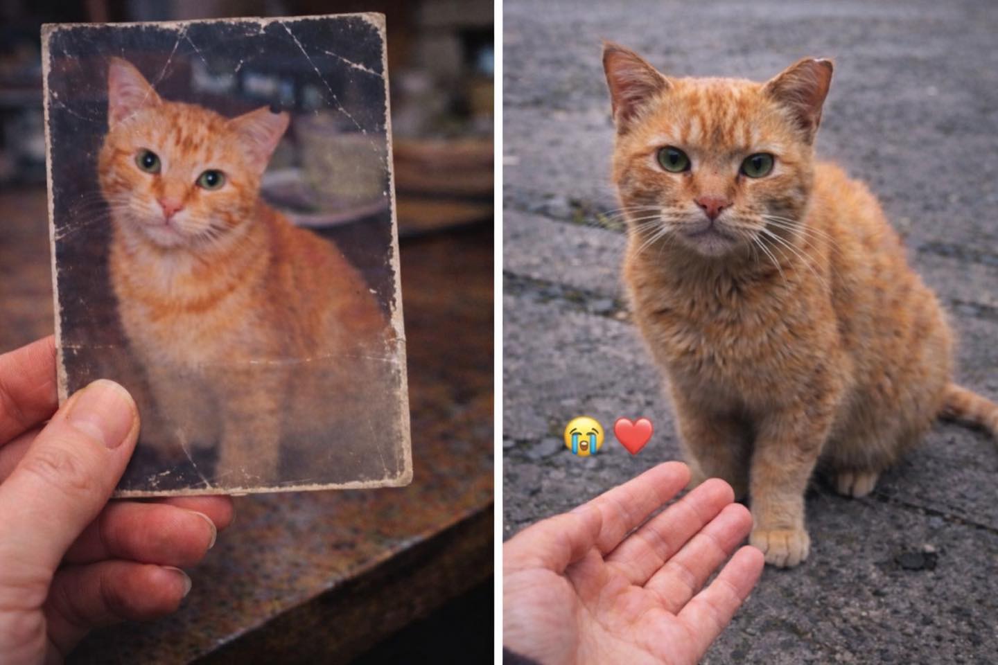 Рудик зник на початку повномасштабного вторгнення.