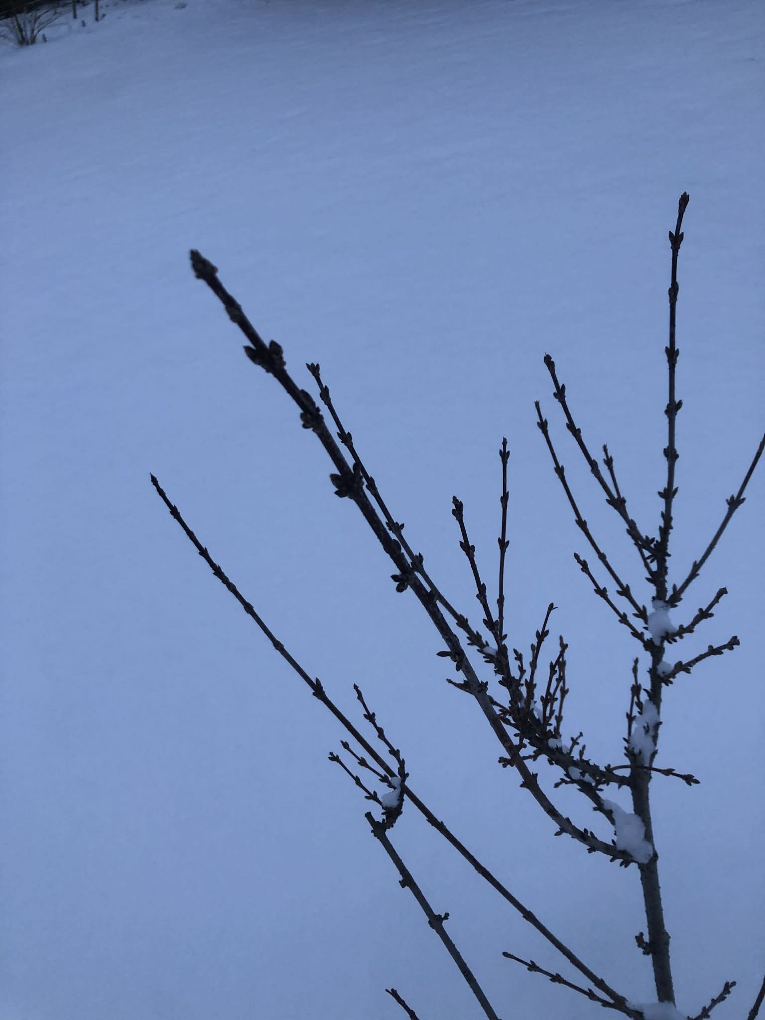 — ІДИ, СИНКУ, І НЕ ПОВЕРТАЙСЯ.— МАТИ НЕ ВРЯТУЄ ТЕБЕ… — НІ ПЕРЕД БОГОМ, НІ ПЕРЕД СОБОЮ. ЗАБЕРИ СВОЇ ДОКУМЕНТИ. СПАДКУ ТИ НЕ ОТРИМАЄШ. БУДИНОК Я ЗАПОВІЛА ЛЮДИНІ, ЯКА ВРЯТУВАЛА МЕНІ ЖИТТЯ. А ТИ.. — ТИ ПОХОВАВ МЕНЕ. ЗА ЖИТТЯ…— Я ЗАПЛУТАВСЯ, — ПРОШЕПОТІВ ВІН. — МАМА…