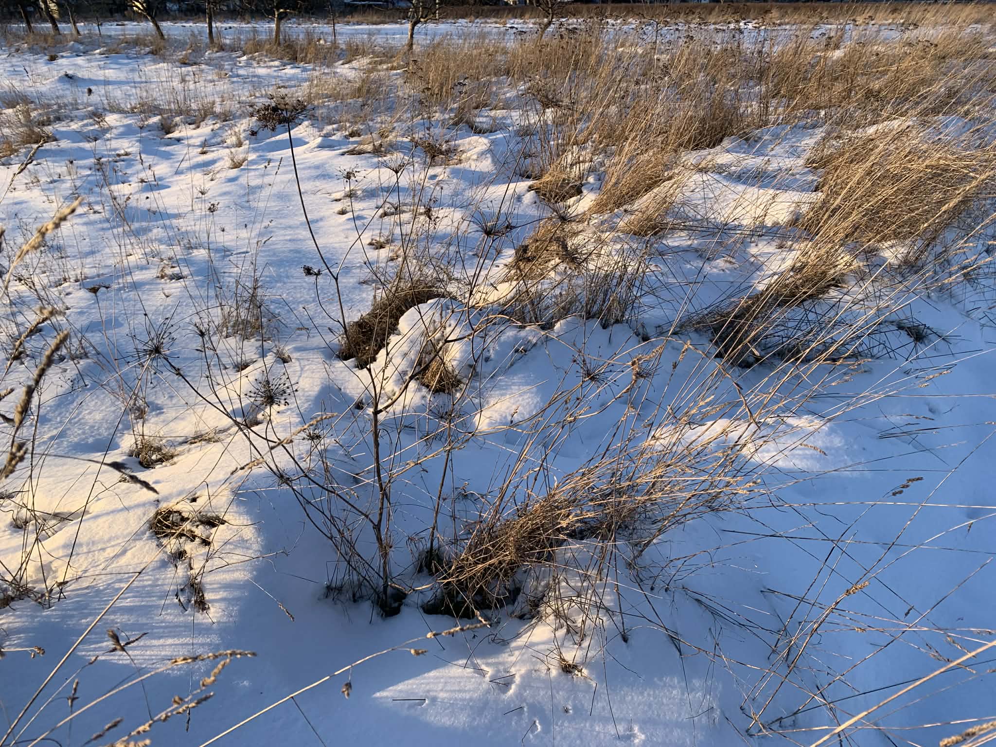 Ірина поспішала на роботу, вискочила з квартири і ледь не спіткнулася об хлопчика. Хлопчик спав прямо біля її дверей. Ірина здивувалася, чому дитина в таку ранню годину спить в чужому під’їзді? Вона була вчителькою з десятирічним стажем і не могла просто так пробігти повз. Жінка схилилася над ним і почала обережно трусити його за худеньке плече: – Гей, молодий чоловіче, прокинься! – Що? – хлопчик незграбно підвівся. – Ти хто? Чому тут спиш? – Я не сплю. Просто… у вас килимок м’який. Я сидів і задрімав ненавмисно, – відповів він. Ірина жила в цьому будинку всього півроку. Купила квартиру після розлучення з чоловіком. Сусідів майже нікого не знала, але, що дитина не з цього будинку, було зрозуміло. Хлопчику було років 10, може 11, одягнений, хоч у старий, але чистий одяг. Він переминався з ноги на ногу і пританцьовував на місці. Ірина зрозуміла, що йому треба в туалет:– Біжи.