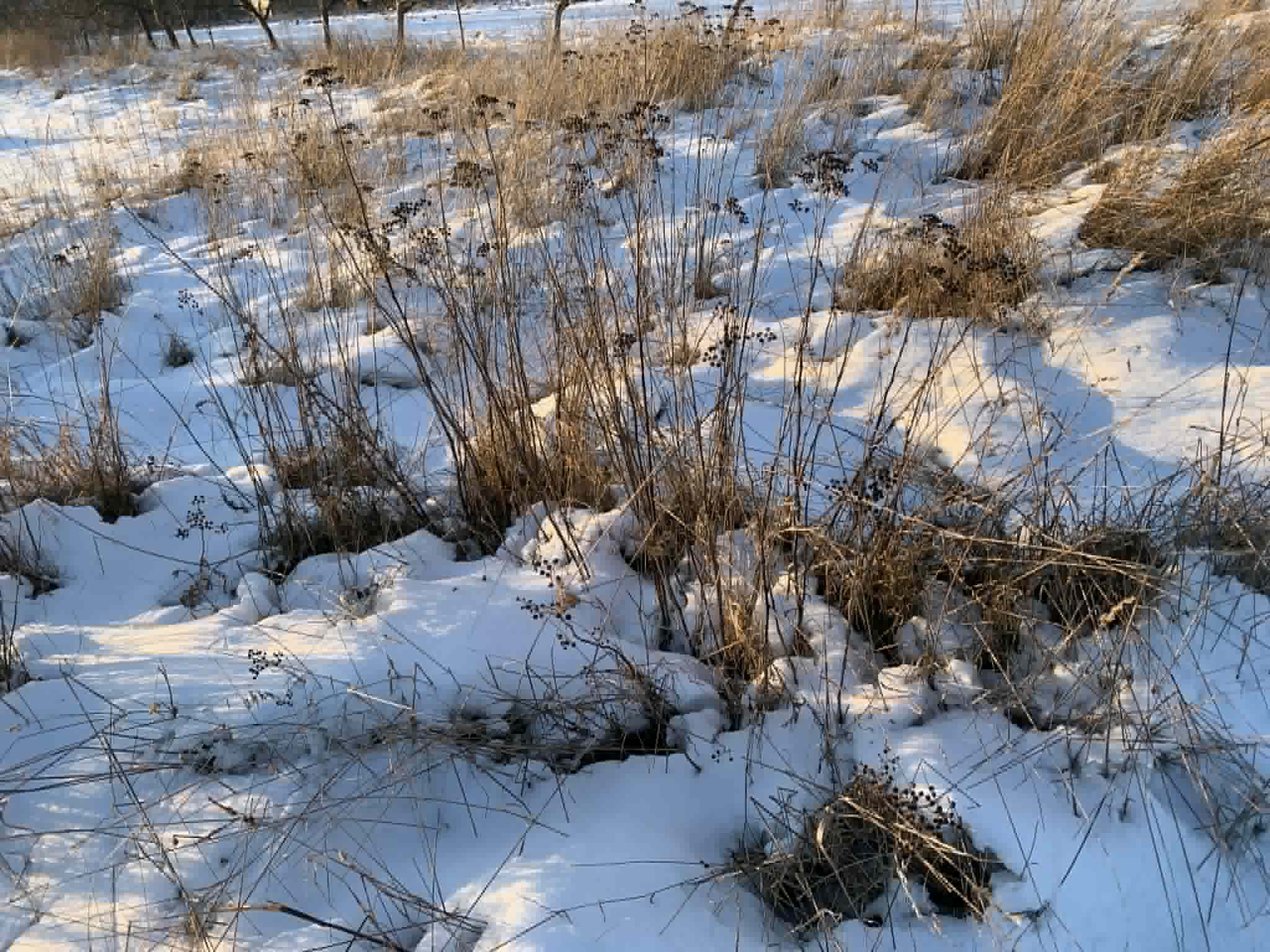 Покоївка помітила чоловіка, який щоночі приїжджав до готелю з 11-річною дівчинкою: одного разу вона простежила за ними і, зазирнувши у вікно їхнього номера, побачила щось жахливе.