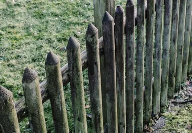 Яка максимальна висота паркану між сусідами може бути у 2026 році