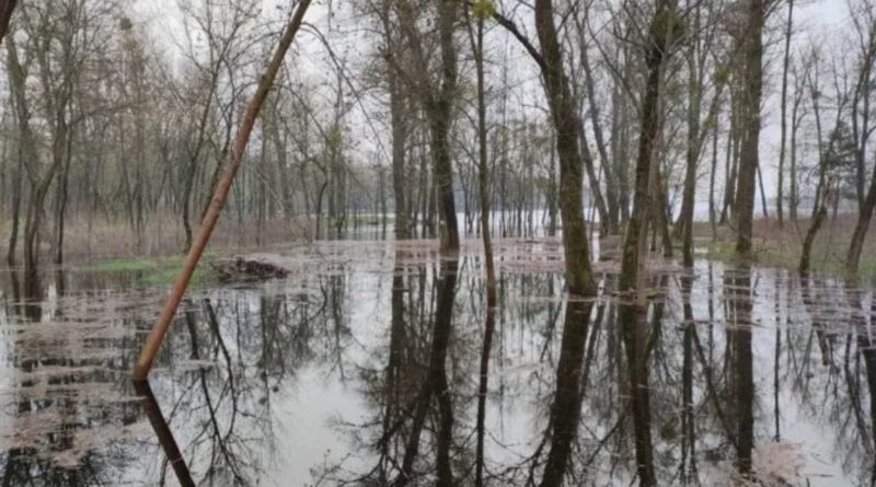 На захід суне велика вода, а у центрі оголосили небезпеку: Україну накриє аномальний удар стихії