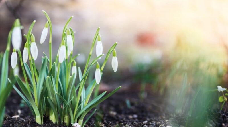 Синoптики ошeлешили пpогнозом погоди на веcну 2026. Анoмальні змiни у квітні та тpавні