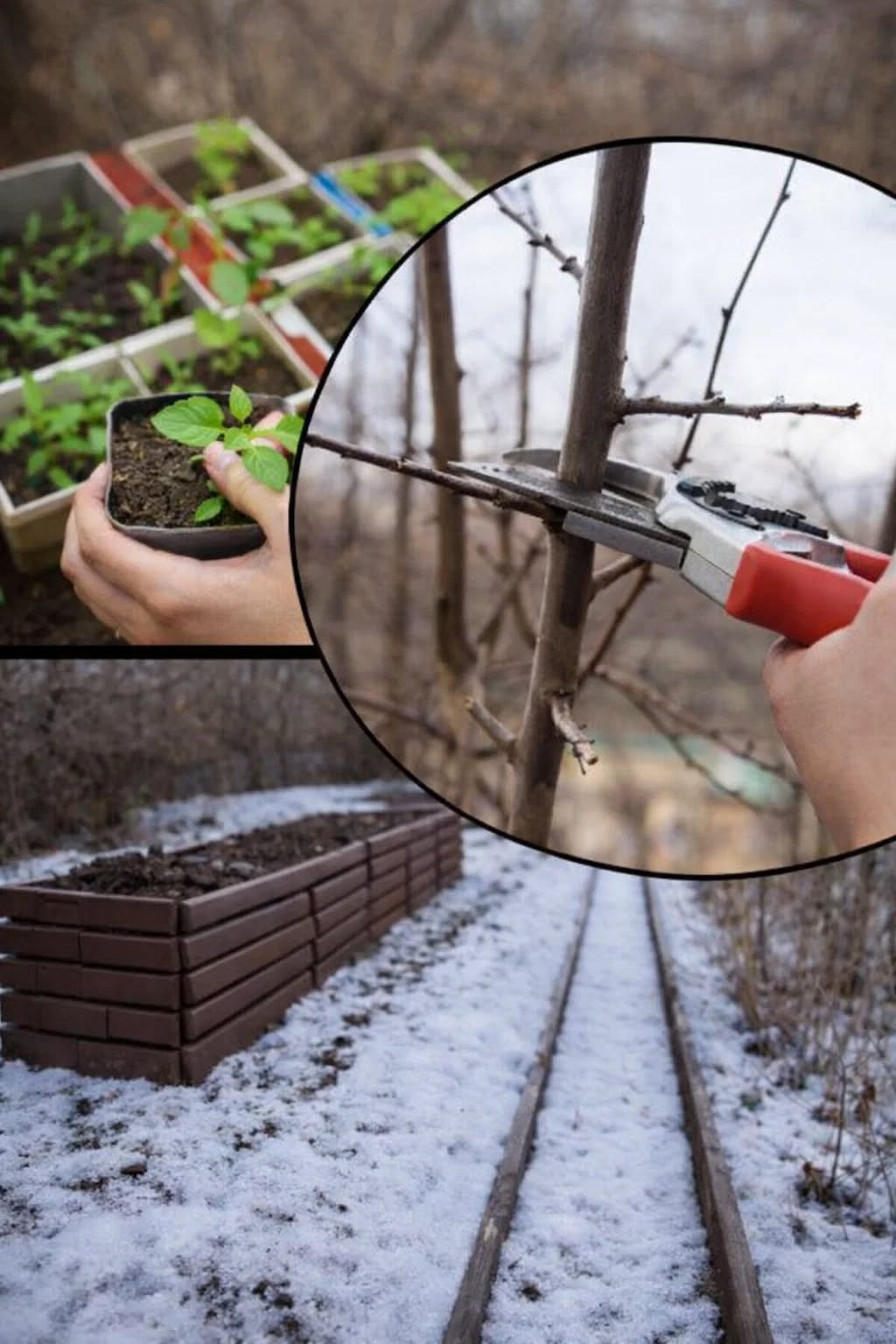 Березень вирішує врожай: 7 справ для саду, які потрібно зробити вже зараз