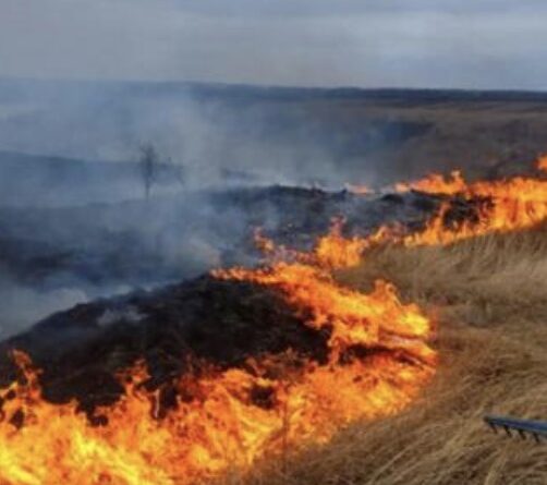 Штраф шалений! Українцям нагадали про покарання за спалювання сухої трави.Із настанням тепла частішають випадки спалювання людьми сухої трави та листя. Такі дії не лише завдають значної шкоди довкіллю й здоров’ю людей, а також є порушенням законодавства. Про це повідомляє КМДА, передають Патріоти України.