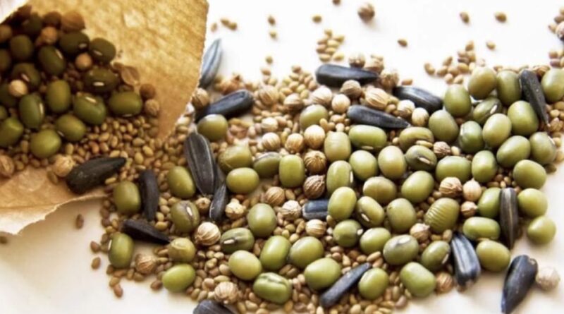 Насіння яких культур потрібно замочувати перед посадженням: візьміть собі на замітку