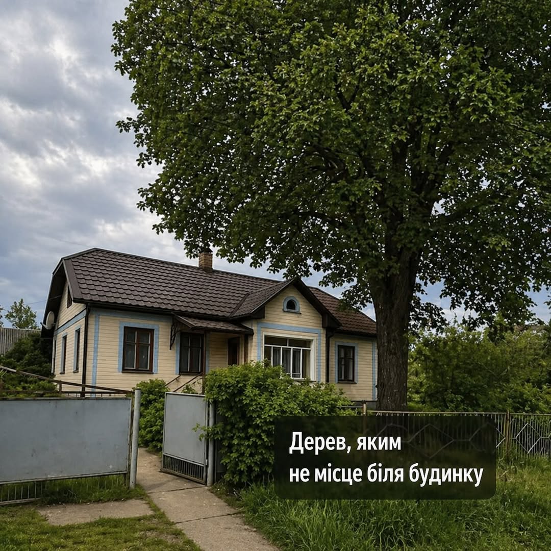 6 дерев, яким не місце біля вашого дому. Від них більше шкоди ніж користі.