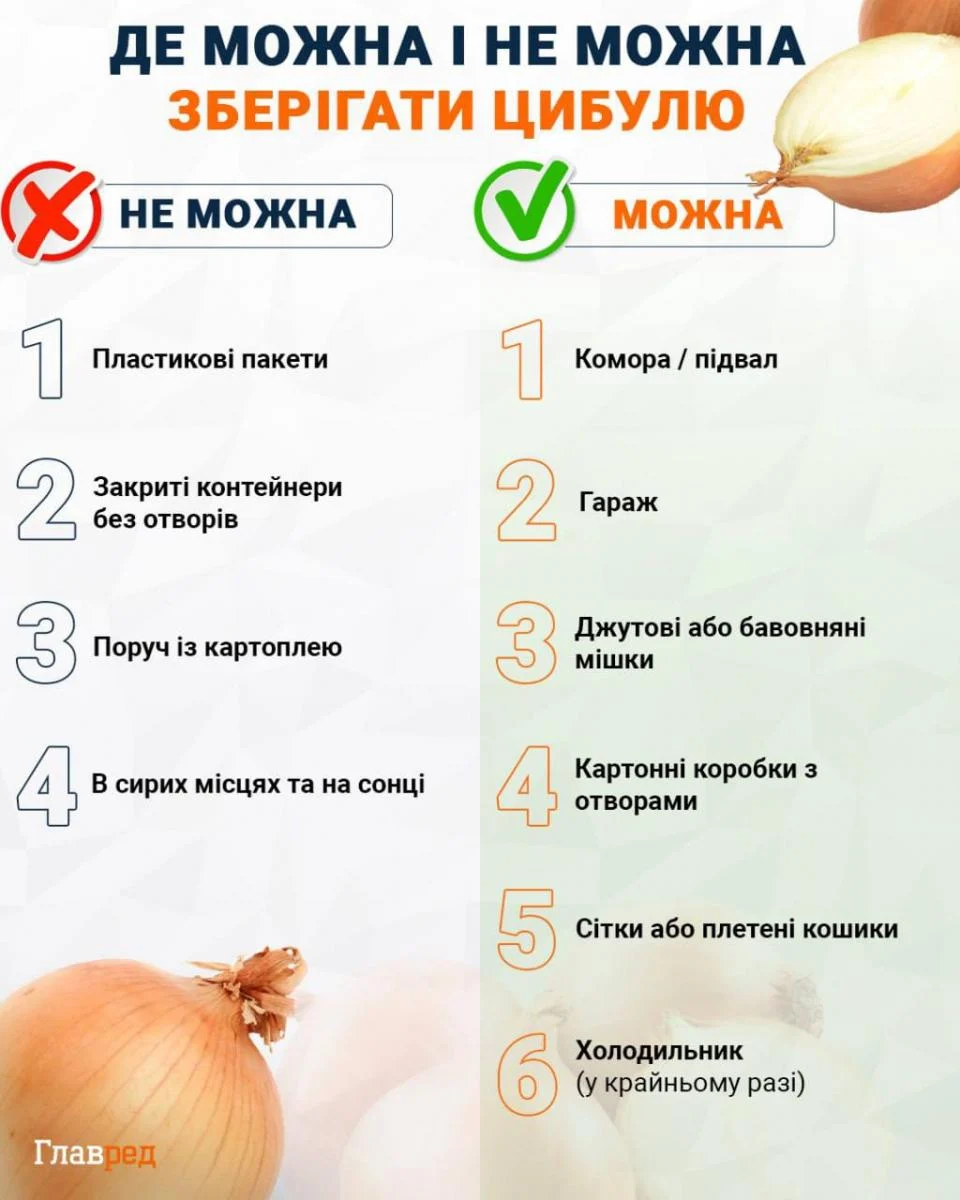 Цибуля згниє через одну помилку: як визначити точний час викопування